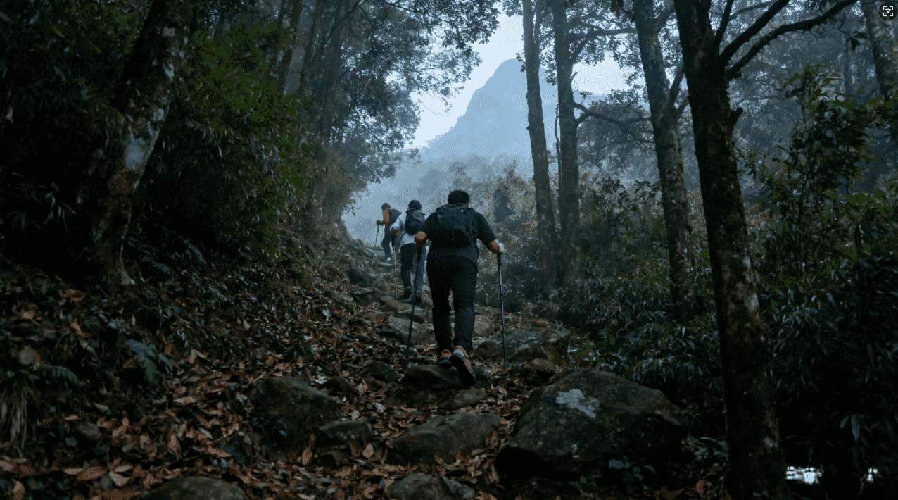 飞机加速器运行安全性详细解析：知乎用户真实体验全面分享